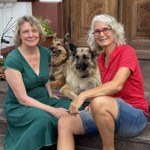 Welt als Spiegel, Seminare, Aufstellungen, Hundeseminar